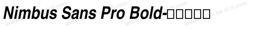 Nimbus Sans Pro Bold字体转换